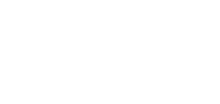 Park Motor